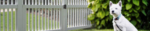 Latches & Locks